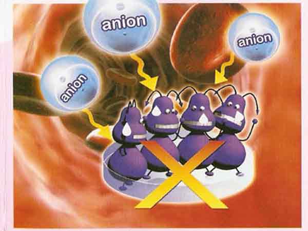 Anion